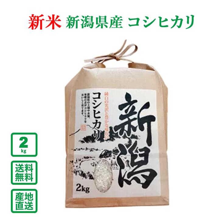 【令和5年産】新潟県産 コシヒカリ 2kg(精米...の商品画像