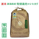 【令和5年産】新潟県産 特別栽培コシヒカリ 10kg【送料無料(一部地域除く）】