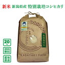 【令和5年産】新潟県産 特別栽培コシヒカリ 20kg【送料無料(一部地域除く)】