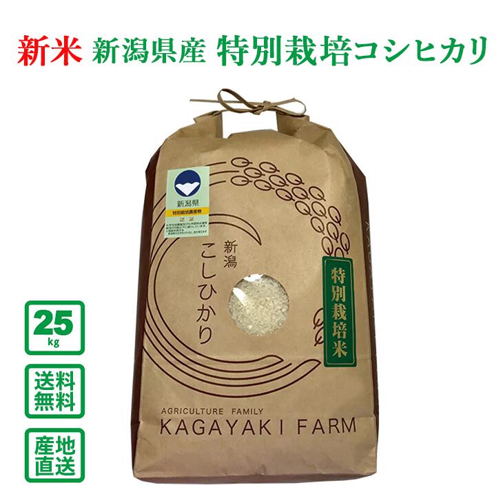 【令和5年産】新潟県産 特別栽培コシヒカリ 25kg（精米）【送料無料（一部地域除く）】