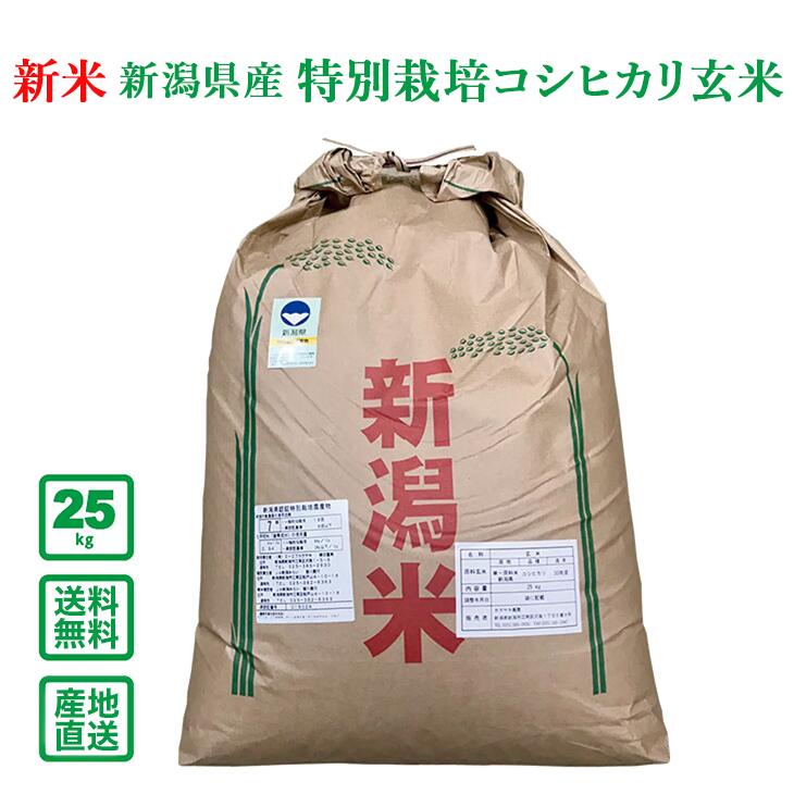 【令和5年産】新潟県産 特別栽培コシヒカリ 25kg（玄米）【送料無料(一部地域除く)】