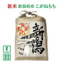 【新米】【令和7年産】新潟県産 もち米の王様 こがねもち 2kg【送料無料(一部地域除く)】