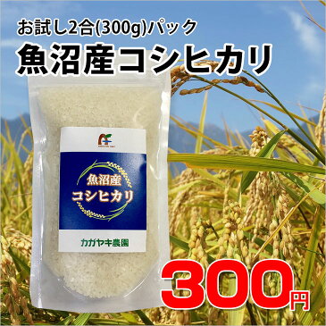 【お試し】平成30年産　新潟 魚沼産 コシヒカリ 2合(300g) 白米