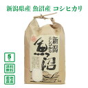 【令和6年産】新潟県産 魚沼産コシヒカリ 5kg【送料無料(一部地域除く)】