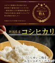 【令和5年産】新潟県産 コシヒカリ 2kg(精米)【送料無料(一部地域除く)】 3