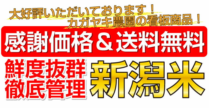 【令和5年産】新潟県産 特別栽培コシヒカリ 1...の紹介画像2