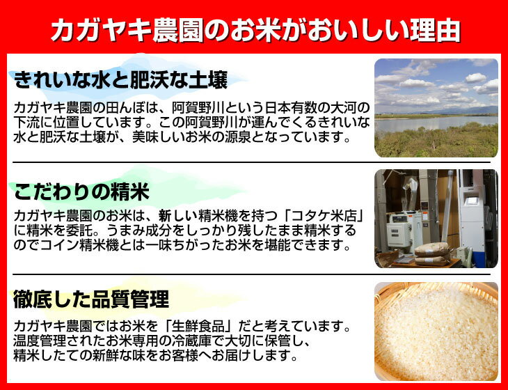 【令和5年産】新潟米 食べ比べセット【送料無料(一部地域除く)】