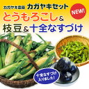 十全なす