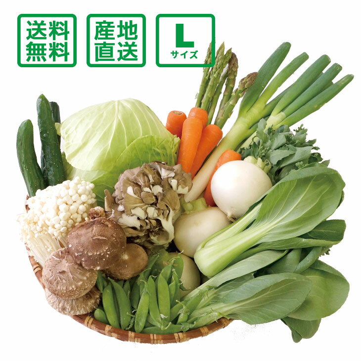 【送料無料(一部地域除く)】 産地直送 野菜セット Lサイズ【お歳暮・お中元にもどうぞ！】