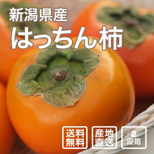 【予約】はっちん柿 2段箱（26〜36個）【果物・ギフト・贈答用】【数量限定】【送料無料（一部地域除く）】