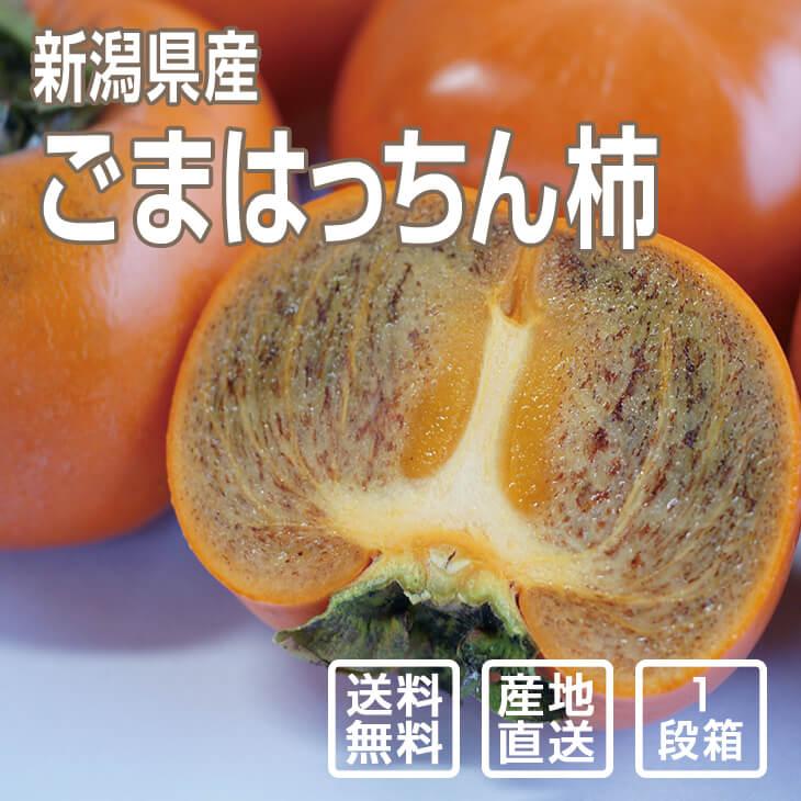 【予約】ごまはっちん柿 1段箱（12〜16個）【果物・ギフト・贈答用】【数量限定】【送料無料（一部地域除く）】