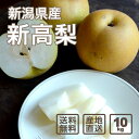 【予約】カガヤキ農園の梨ギフト 新高 10kg(5kg×2箱)12~16玉【数量限定】【送料無料(一部地域除く)】