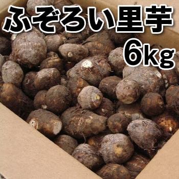 【予約】ふぞろい沢海里芋 6kg　ねっとりとした食感とさといもの甘みが美味！ 【訳あり・ふぞろい・規格外・ご自宅用】【冬野菜】【送料無料(一部地域除く)】のサムネイル