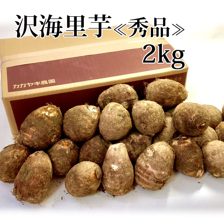 【予約】ねっとり&もっちり 沢海里芋〔秀品〕 2kg 【冬ギフト】【送料無料(一部地域除く)】