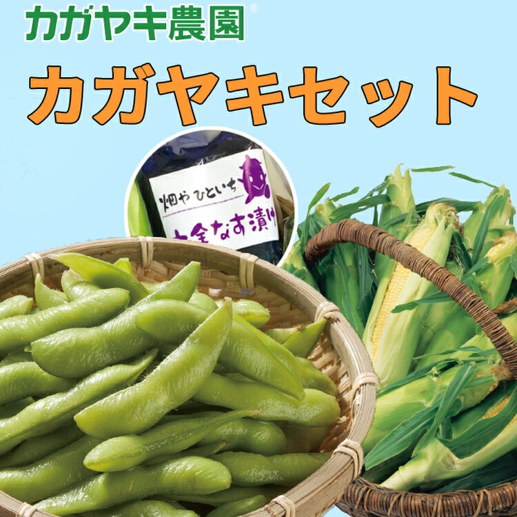 【とうもろこしギフト】カガヤキセット（とうもろこし10本＆枝豆250g×3袋＆十全なすづけ2袋）【お中元】【送料無料（一部地域除く）】