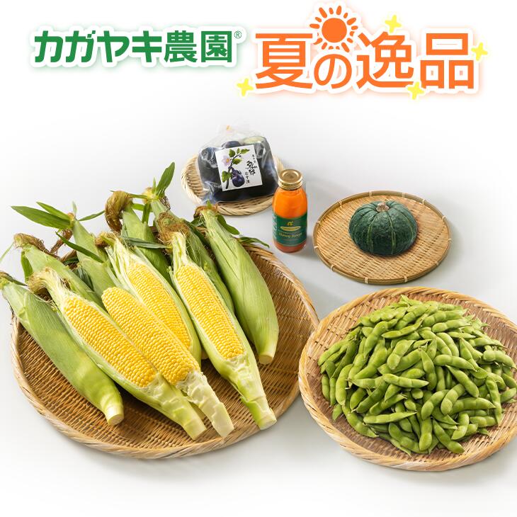 【とうもろこしギフト】夏の逸品（でっかいとうきび10本＆枝豆250g×4袋＆十全なすづけ1袋＆ミニかぼちゃ1個＆にんじんジュース1本）【お中元】【送料無料（一部地域除く）】