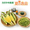 商品画像3