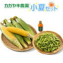 【とうもろこしギフト】小夏セット(でっかいとうきび3本&枝豆250g×1袋&にんじんジュース1本)【お中元】【送料無料(一部地域除く)】