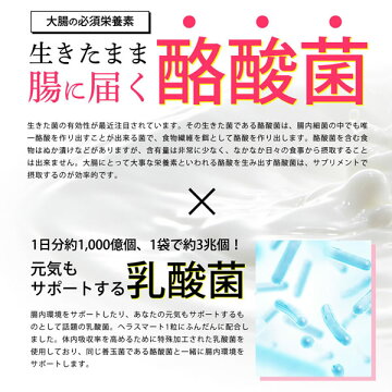 ヘラスマート機能性表示食品クロロゲン酸酪酸菌乳酸菌サプリサプリメント日本製送料無料ダイエット腸活