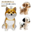 ペット 透明 2点セット ペットひげ 犬 小動物 ケース 収納 キーホルダー 形見 抜け毛 記念ボックス ペット 犬の毛 ペット犬型収納ボックス 犬型 携帯 持...