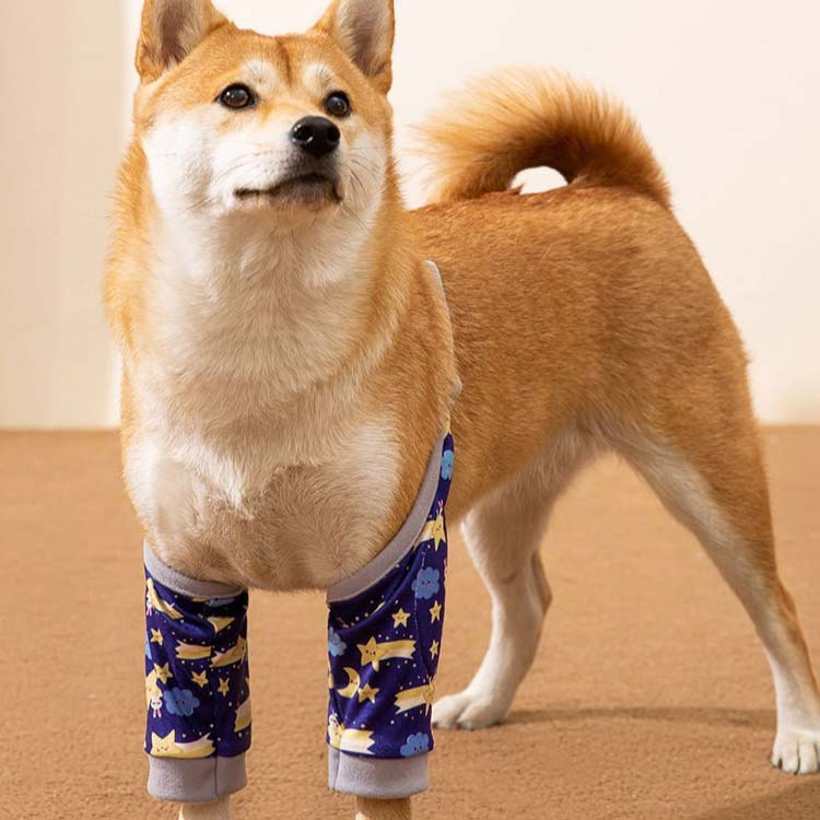 �� ��ϥӥ� �� ���Ѵ���ץ��ƥ����� ����� Ϸ����� ����ɨ���ݡ����� �� ���ݡ����� �� ­���С� ��­ �� �ץ��ƥ����� �İ��� �̵��� �� ���� ɨ���ݡ����� ɪ ���� ����� �Ѹ��ݸ� �����ݸ� ���Ӥ��ɻ� �׷������ڸ� �淿 �緿����