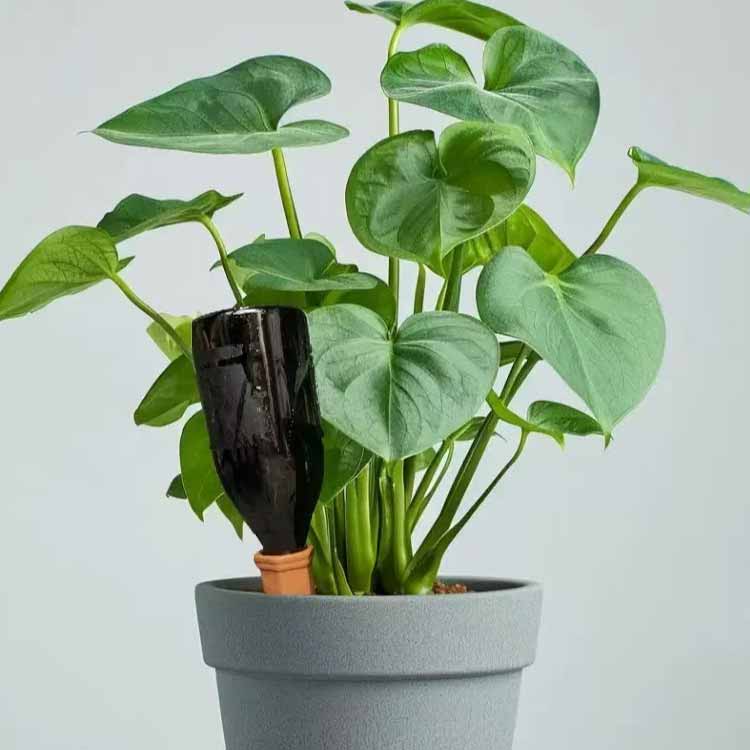 【4個セット】自動水やり器 園芸 自動給水器 鉢植え 観葉植物 自動水やり器 自動水...