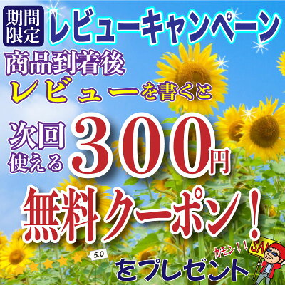 らあめん花月嵐 楽天市場店 らあめん花月嵐 嵐げんこつらあめん お試し 2パックセット (4食入) | ラーメン花月 花月嵐 ラーメン らーめん 豚骨ラーメン とんこつラーメン 有名店 取り寄せ お取り寄せグルメ お取り寄せ 生麺 麺 背脂 とんこつ 豚骨 画像3