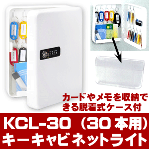 keiden(計電) キーボックス 暗証番号 ダイヤルキーキャビネットライト30本掛け用(KCL-30)