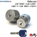 Kaba ace(カバエース) LSP(TESP)+LIX(LZSP) 鍵(カギ) 交換 取替えシリンダー2個同一キータイプ■色=シルバー・ゴールド・アンバー(ブラウン)■標準キー6本付き【送料無料】
