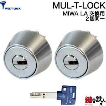 &nbsp; ★ピッキングに強い防犯対策シリンダーMUL-T-LOCK(マルティロック) ■標準キー 3本付き ■追加キー・合カギの注文 こちら ■MUL-T-LOCK(マルティロック)商品説明は、こちら ■発送時期2〜3日後発送可 ■生産...