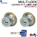 【5】MIWA PESPとMIWA GAS3の交換用MUL-T-LOCK(マルティロック)LIX(TE0)タイプ(縦カムと横カム)■ディンプルキー■キー3本付き...