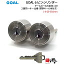 【54-2P-ST】GOAL TXの6ピンシリンダーの交換テールピースの数字「49」L寸法42.6mmTXP 49-43シルバー色2個同一キータイプの交換用シリンダー■標準キー6本付き■