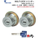 【5】MIWA PESPとMIWA GAS3の交換用MUL-T-LOCK(マルティロック)LIX(TE0)タイプ(縦カムと横カム)■ディンプルキー■キー3本付き...