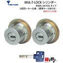 MIWA PE-02、GAS2 交換用MUL-T-LOCK(マルティロック)シリンダーLIX(TE0)タイプ■縦向きカム仕様■標準キー3本■シルバー色またはゴー...