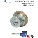 《8》MUL-T-LOCK(マルティロック)MIWA LIX(TE0)用の玄関の鍵(カギ) 交換 取替え用シリンダー1個タイプ■全3色:シルバー色/ゴールド色/...