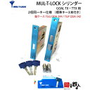 【シリンダー】MUL-T-LOCK GOAL-TX・TTX用 玄関 鍵(カギ) 交換 取替え シリンダー二個同一セット 【錠ケース】GOAL 玄関 鍵(カギ) ...