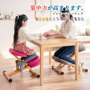 デスクチェア いす 椅子 学習椅子 学習イス パソコンチェア 子ども キッズ チェア 補助クッション付き プロポーションチェア バランスチェア 矯正 椅子 学習...