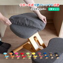 プロポーションチェア 専用 替えカバー 【本体別売り】 【2枚セット】 チェア カバー バランスチェア 洗い替え カバー
