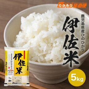 ひのひかり 伊佐米 5kg 令和5年産お米 単一原料米 九州 鹿児島県産 ヒノヒカリ