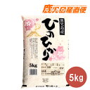 送料無料 令和6年度 鹿児島産 ひのひかり 5kg お米 単一原料米 九州 鹿児島 ヒノヒカリ ミヤベイ