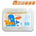 喜入蒟蒻屋 おば雪 130g さしみこんにゃく 国産原材料使用 しそ入り からし酢みそ付き 九州 鹿児島珍味