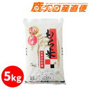 新米 令和元年度産熊本県産 もち米 5kg 九州 熊本 餅米