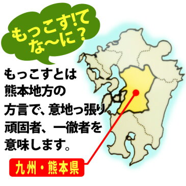 五木食品 拉麺 熊本もっこすラーメン 1人前 スープ付 九州 熊本 ストレート中太麺