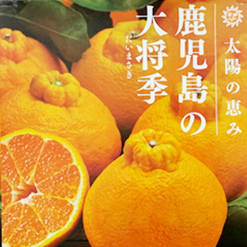 大将季 3kg A等級品 赤秀 秀品のみ厳選 本場鹿児島から発送 デコポン だいまさき