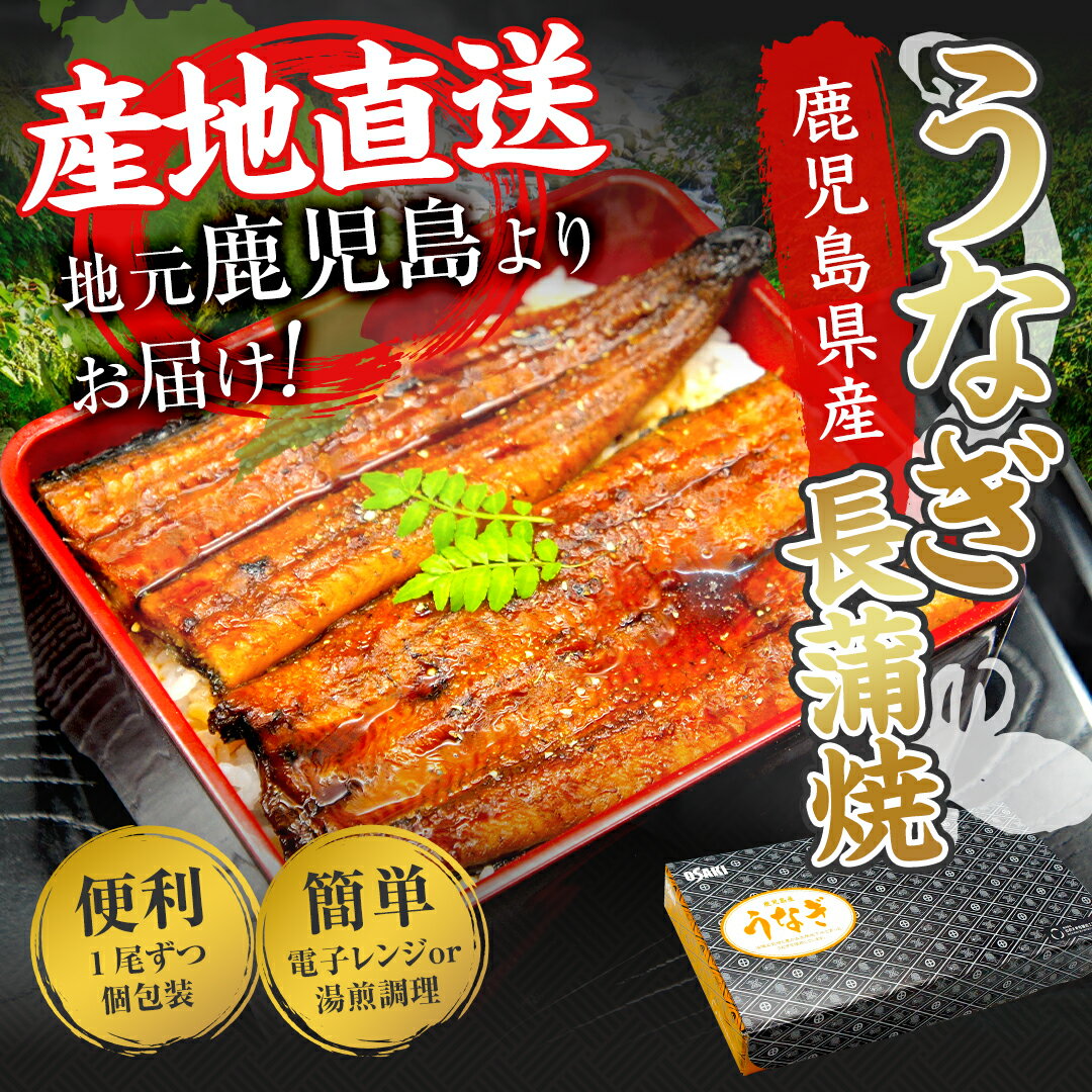 国内産 うなぎ 蒲焼き 2尾 鹿児島県産 大崎町 送料無料 ウナギ 鰻