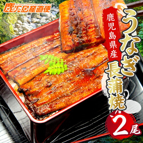 蒲焼き 【最大200円OFFクーポン 数量限定】 送料無料 国内産 うなぎ 蒲焼き 2尾 鹿児島県産 大崎町 送料無料 ウナギ 鰻