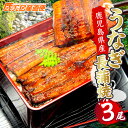 送料無料 国内産 鹿児島 大崎町 うなぎ 3尾 ウナギ 鰻 蒲焼き 送料無料 ギフト