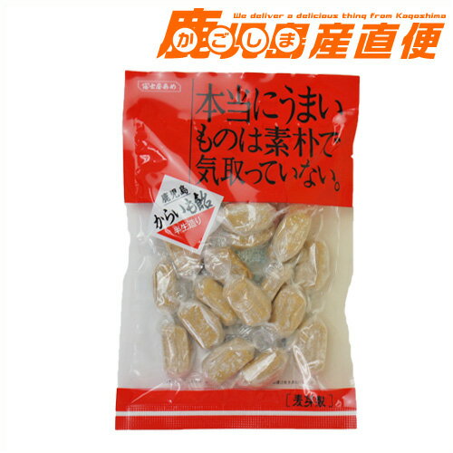 冨士屋あめ 半生造り からいも飴 100g 鹿児島銘菓 郷土菓子