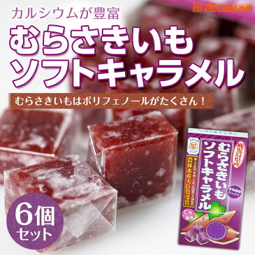 メール便 送料無料 セイカ食品 むらさきいもキャラメル 6箱セット(1箱14粒入り) キャラメル お菓子 鹿児島銘菓
