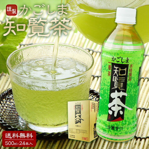 知覧茶 500ml ペットボトル 24本 1ケース 鹿児島送